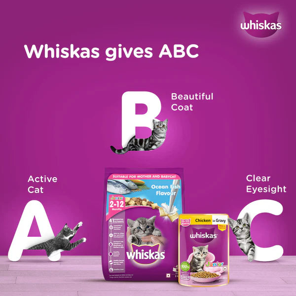 Whiskas Kitten Junior (2-12 Months) Chicken with Salmon in Jelly Wet Cat Food 80g (Pack of 14)