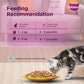 Whiskas Kitten Junior (2-12 Months) Chicken with Salmon in Jelly Wet Cat Food 80g (Pack of 14)