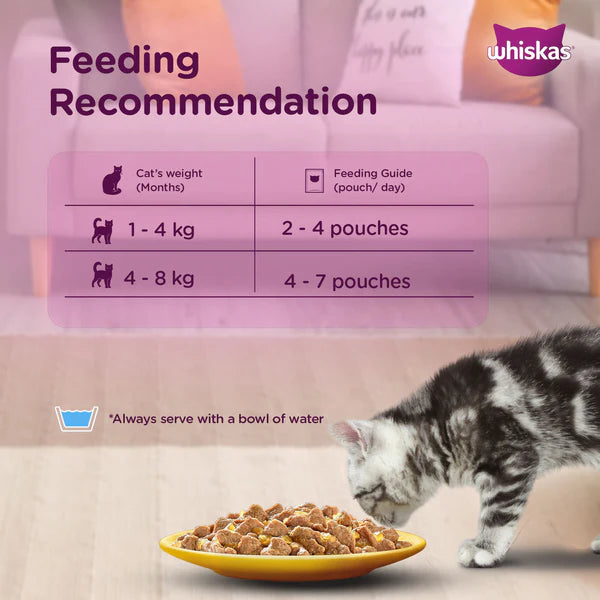 Whiskas Kitten Junior (2-12 Months) Chicken with Salmon in Jelly Wet Cat Food 80g