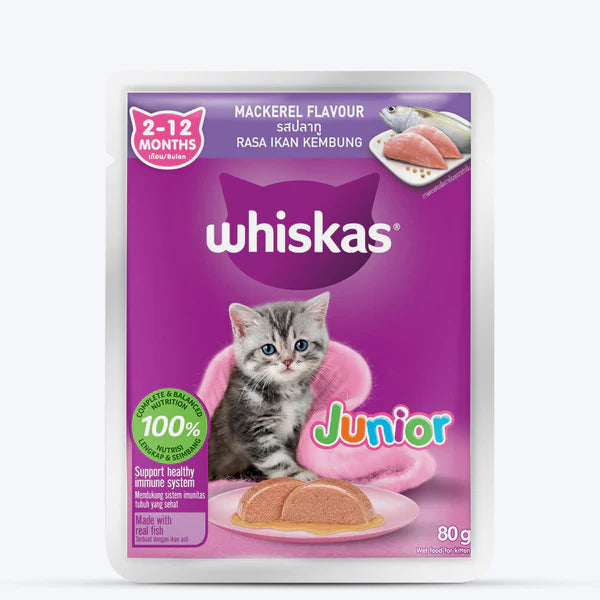 Whiskas Kitten Junior (2-12 Months) Mackerel Flavor Wet Cat Food 80g (Pack of 14)