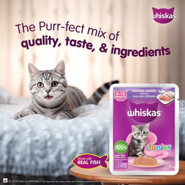 Whiskas Kitten Junior (2-12 Months) Mackerel Flavor Wet Cat Food 80g (Pack of 14)