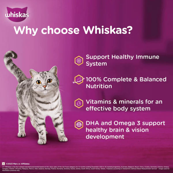 Whiskas Kitten Junior (2-12 Months) Mackerel Flavor Wet Cat Food 80g (Pack of 14)