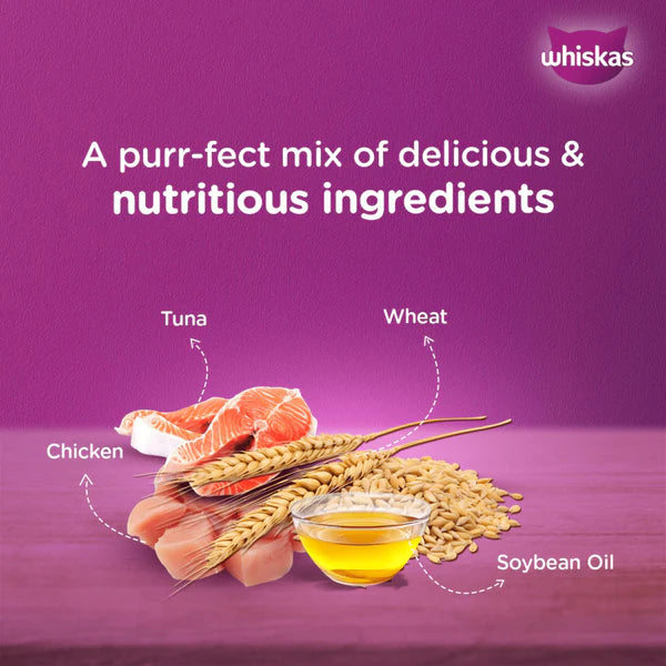 Whiskas Kitten Junior (2-12 Months) Mackerel Flavor Wet Cat Food 80g (Pack of 14)