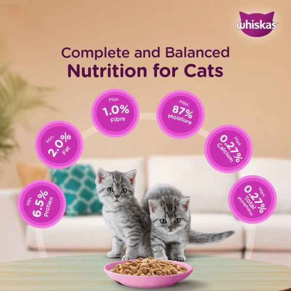 Whiskas Kitten Junior (2-12 Months) Mackerel Flavor Wet Cat Food 80g (Pack of 14)