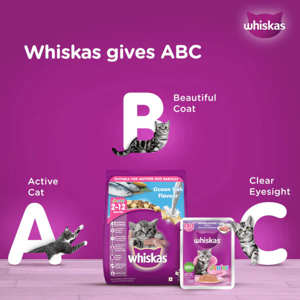 Whiskas Kitten Junior (2-12 Months) Mackerel Flavor Wet Cat Food 80g (Pack of 14)