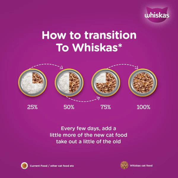 Whiskas Kitten Junior (2-12 Months) Mackerel Flavor Wet Cat Food 80g (Pack of 14)