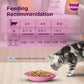 Whiskas Kitten Junior (2-12 Months) Mackerel Flavor Wet Cat Food 80g (Pack of 14)