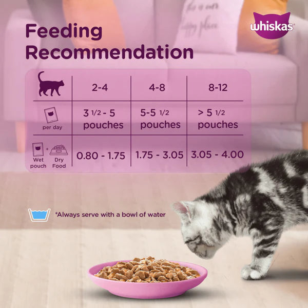 Whiskas Kitten Junior (2-12 Months) Mackerel Flavor Wet Cat Food 80g (Pack of 14)