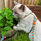 Zee dog Phantom Cat Leash & Harness Set