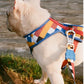 Zee dog Blocks Air Mesh Plus Harness For Dogs