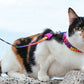 Zee dog Prisma Cat Leash & Harness Set