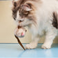 Gigwi Melody Chaser Mouse Toy For Cat 19.50 x 6 x 4cm