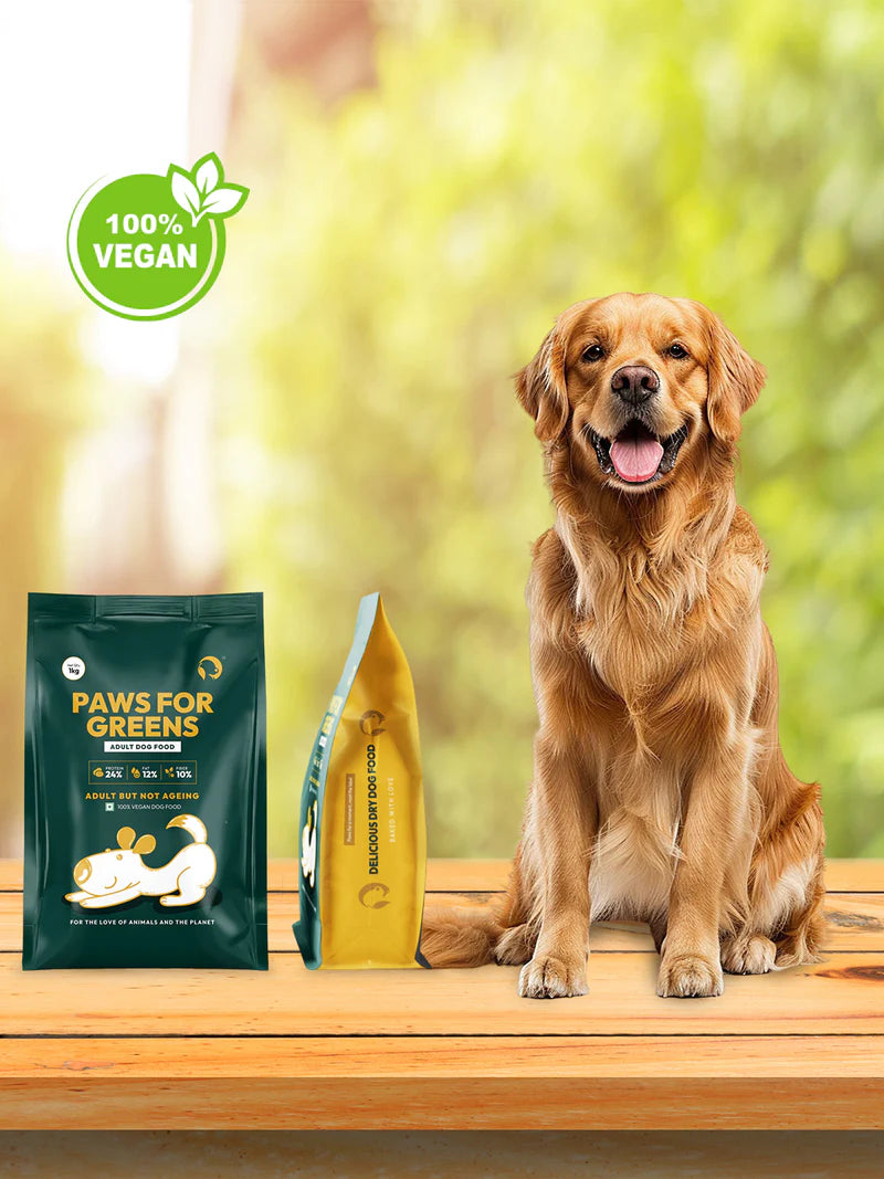 Paws For Greens Veg Adult Dog Food – High Protein, Plant-Based, Meat-Free Dry Dog Food Kibble for All Breeds 1kg