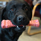 Nylabone Power Chew Textured Bone Bacon Flavor Chew Toy Up To 23kg Dogs 19.6cm x 5.71cm x 2.54cm