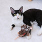Gigwi Refillable Catnip Strange Mouse Cat Toy