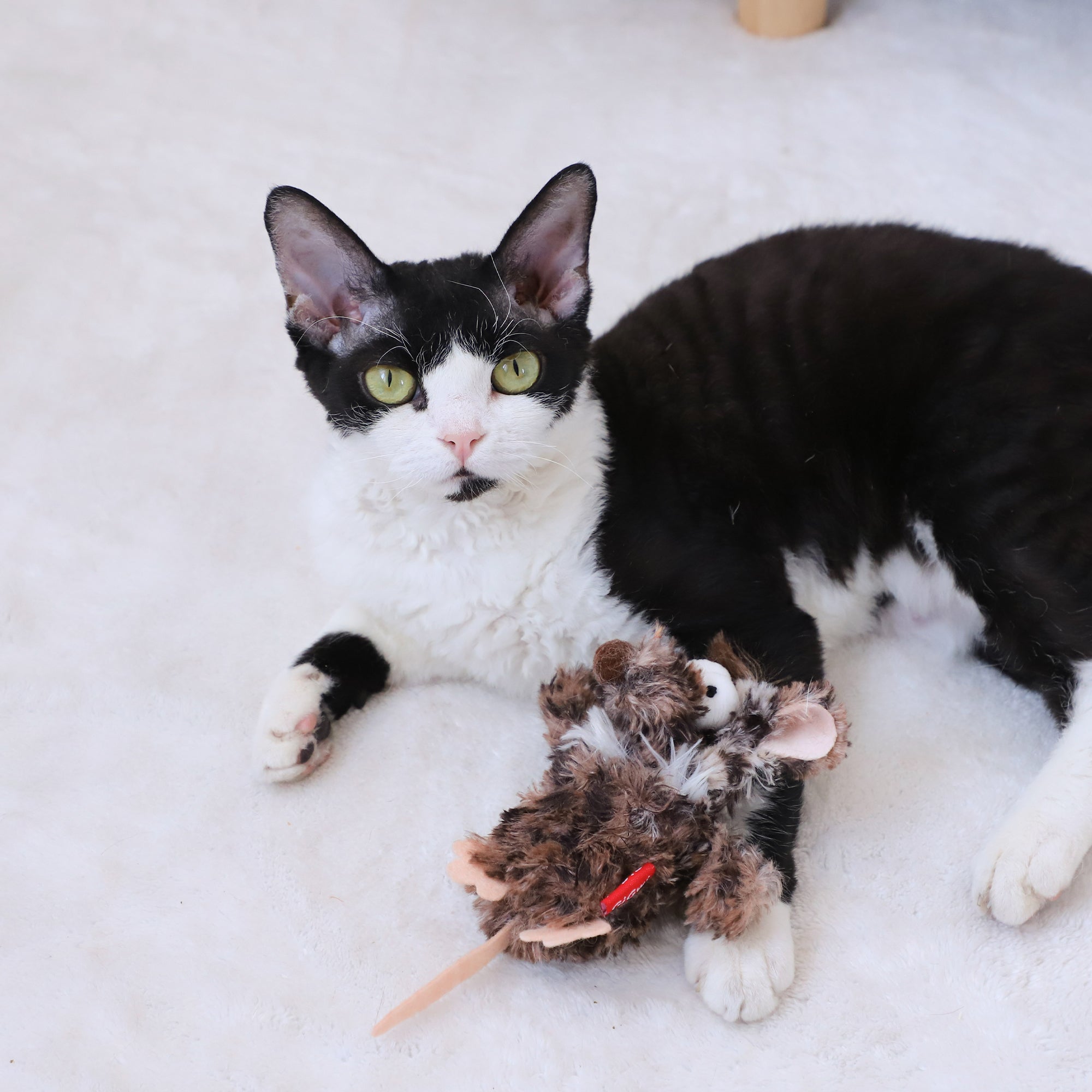 Gigwi Refillable Catnip Strange Mouse Cat Toy