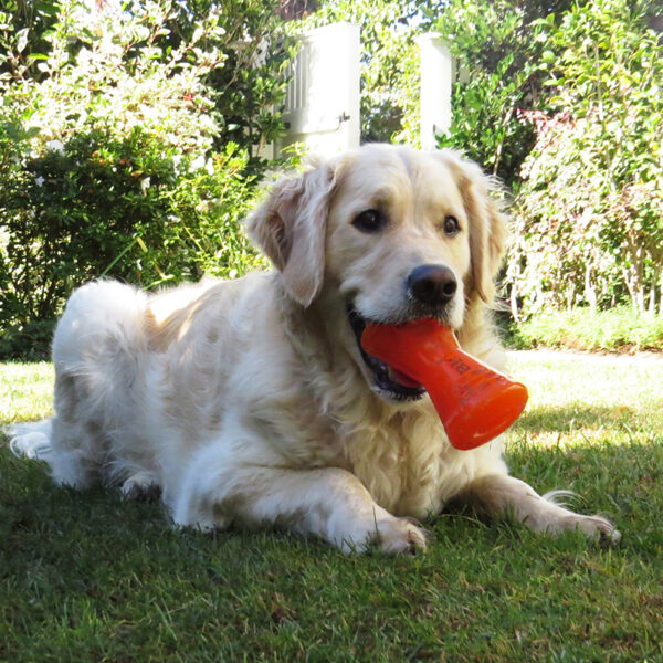 Bionic Bone Dog Toy