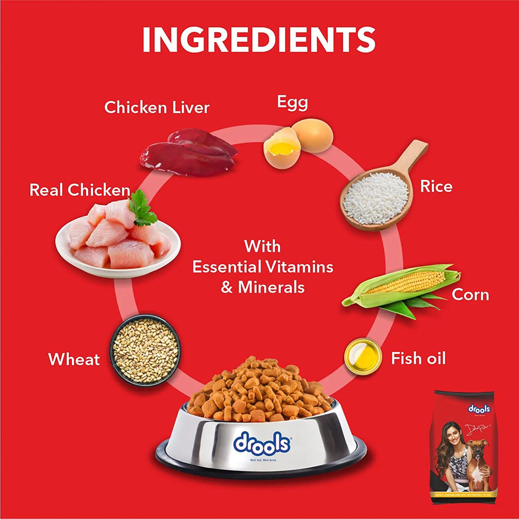Drools Chicken and Egg Adult Dry Dog Food
