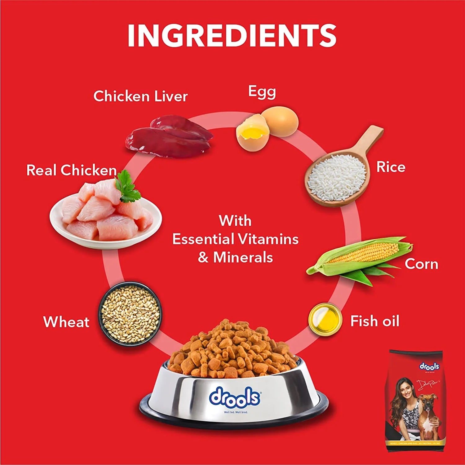 Drools Chicken and Egg Adult Dry Dog Food