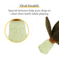 Gigwi Magical Plants Green Aloe Vera Treat Dispenser Dog Toy