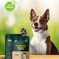 Paws For Greens Dog Treat Plant-Based Delicious Veg Biscuits for Pet with Carrot and Pumpkin 100gm