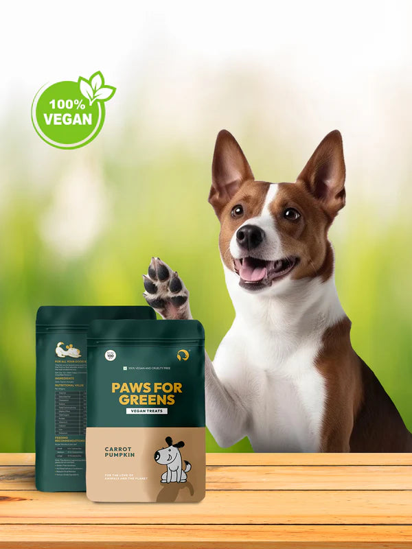 Paws For Greens Dog Treat Plant-Based Delicious Veg Biscuits for Pet with Carrot and Pumpkin 100gm