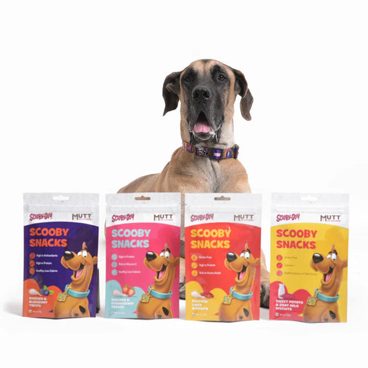 Mutt of Course Scooby Snacks All Flavor Pack of 4