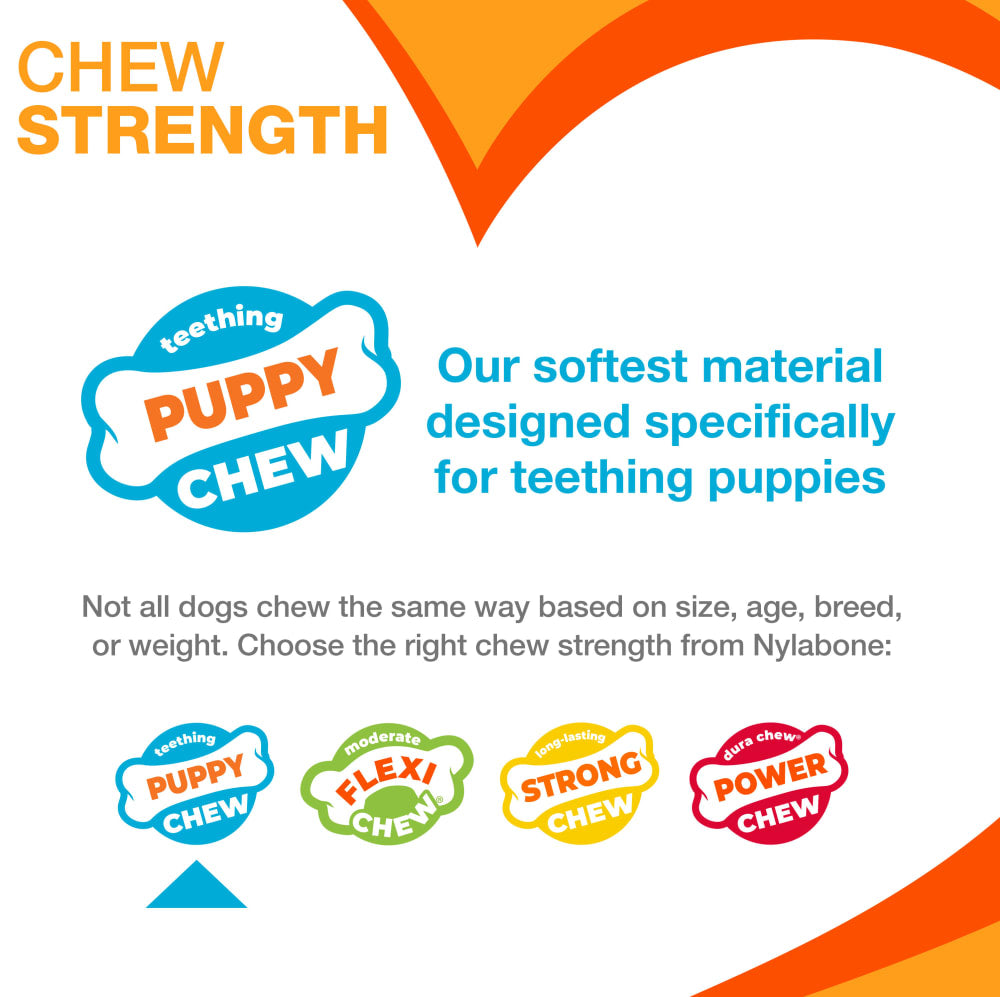 Nylabone Puppy Chew X-Bone Toy Beef Flavor Up to 7kg Dogs 142.11cm x 9.50cm x 3.81cm