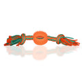 Basil Rope + Ball TPR Toy For Dogs Assorted