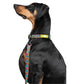Zoomiez Bolt Collar For Dog