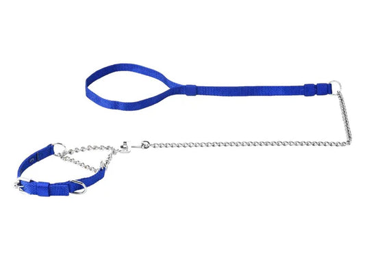 Kennel Premium Nylon Chain Martingale Set l Adjustable Training Collar & Leash Combo l Length 106.5cm (42") l 5mm