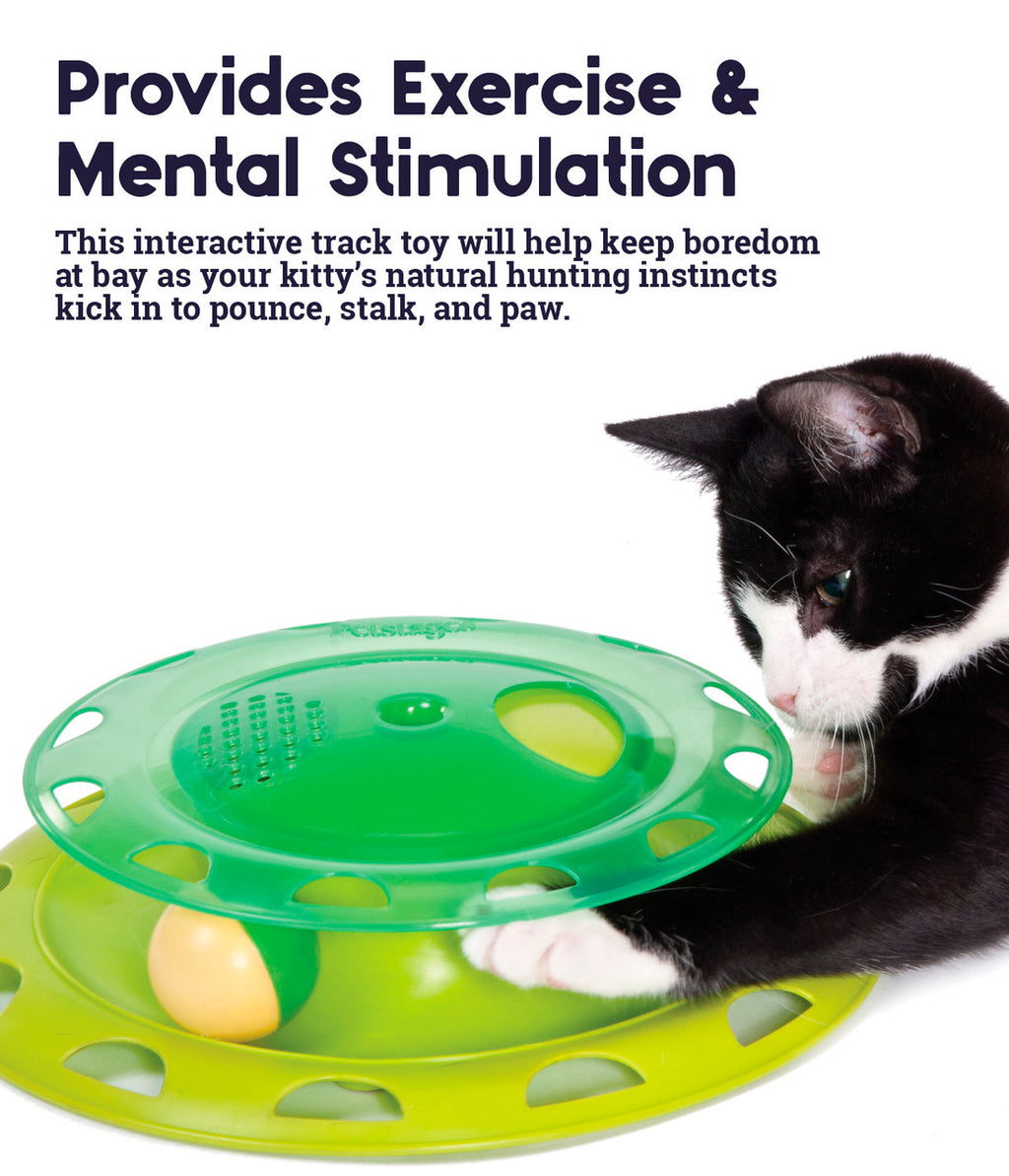 Petstages Catstages Catnip Chaser Independent Cat Play Toy