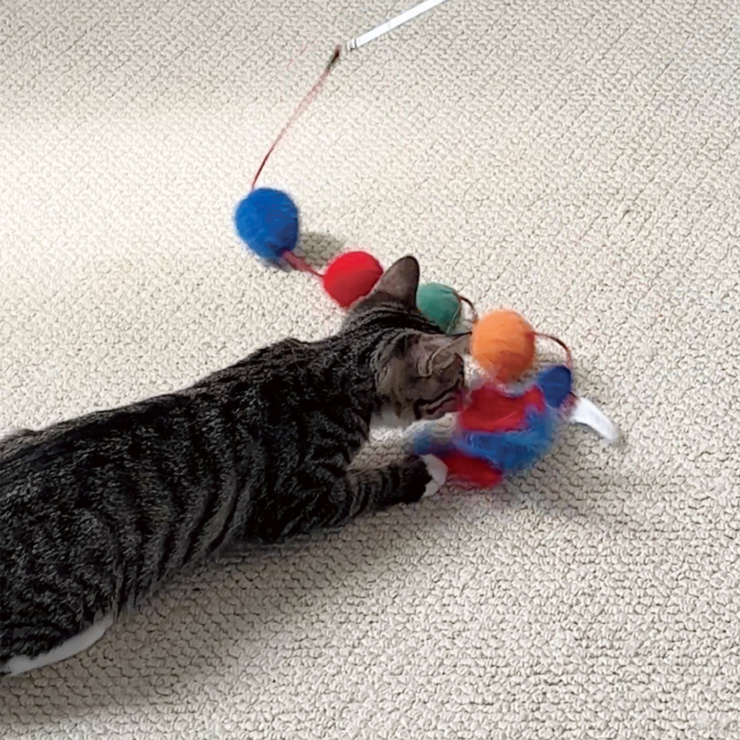 Gigwi Extendable Feather Teaser Catwand Car Toy 68 x 2.50 x 2.50cm