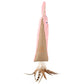 Gigwi Rabbit Kicker Cat Toy
