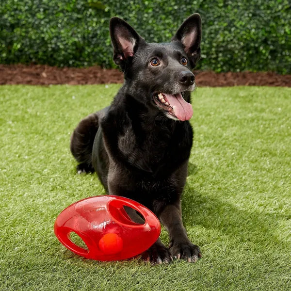 Kong Jumbler Football Fetch Toy for Dogs - Medium-Large
