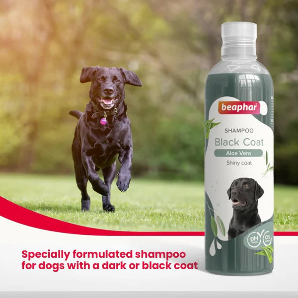 Beaphar Shampoo Black Coats Sort Pels with Aloe Vera For Dogs  250ml