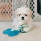 Nylabone Puppy Chew 2-in-1 Teething Freezer Bone Cloth Chew Toy Peanut Butter Flavor