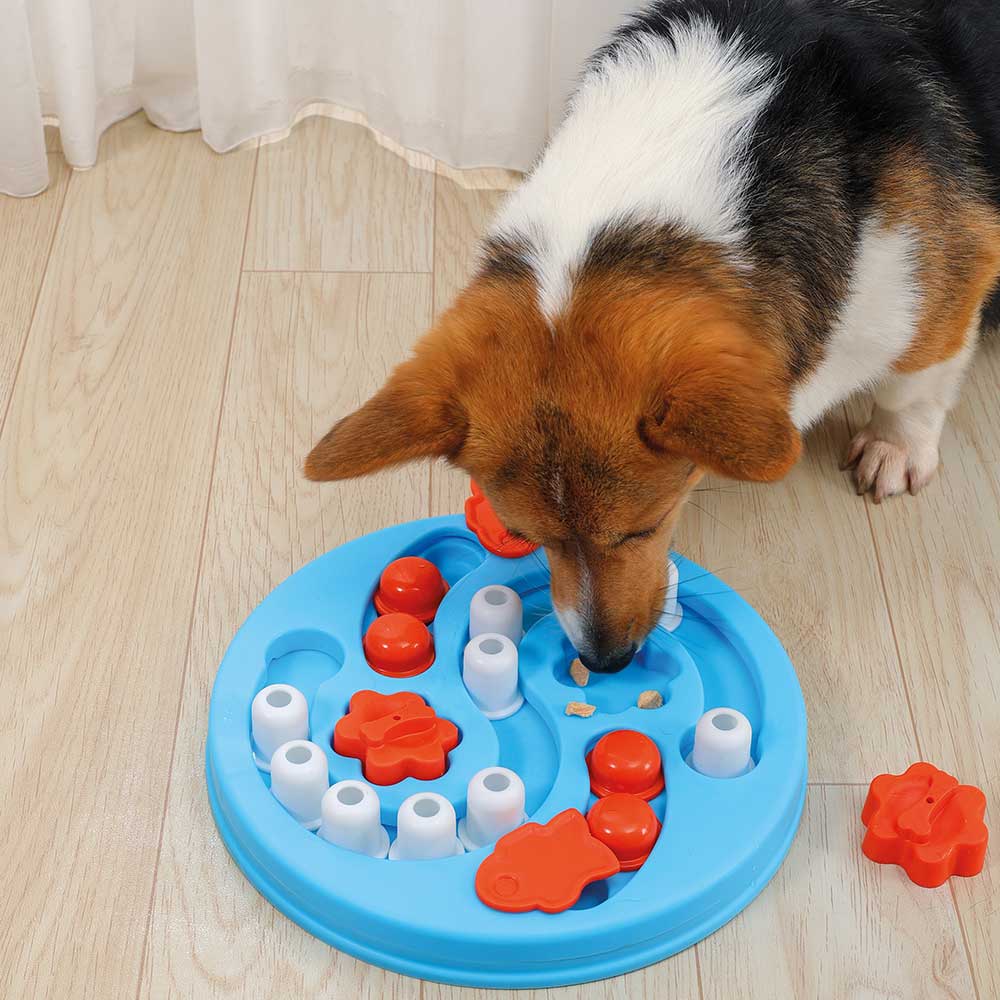 M-PETS Einstein Brainy Game For Dogs