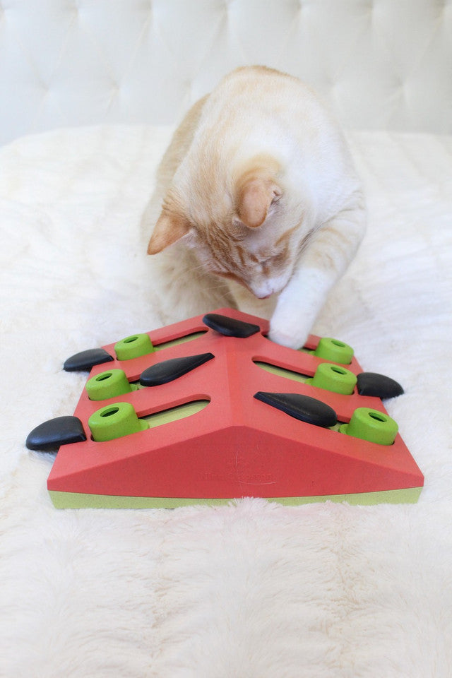 Petstages Melon Madness Puzzle and Play Cat Game Pink 23x25cm