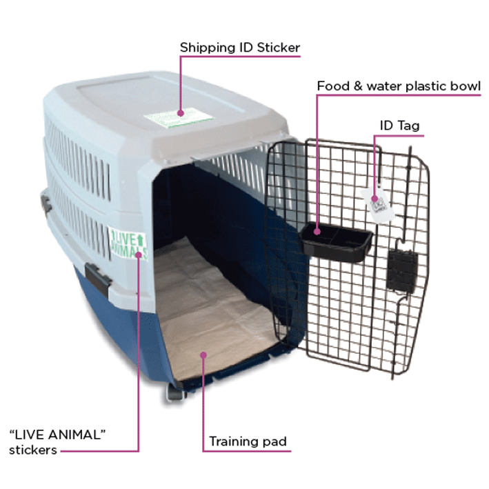 M-Pets Travel Kit