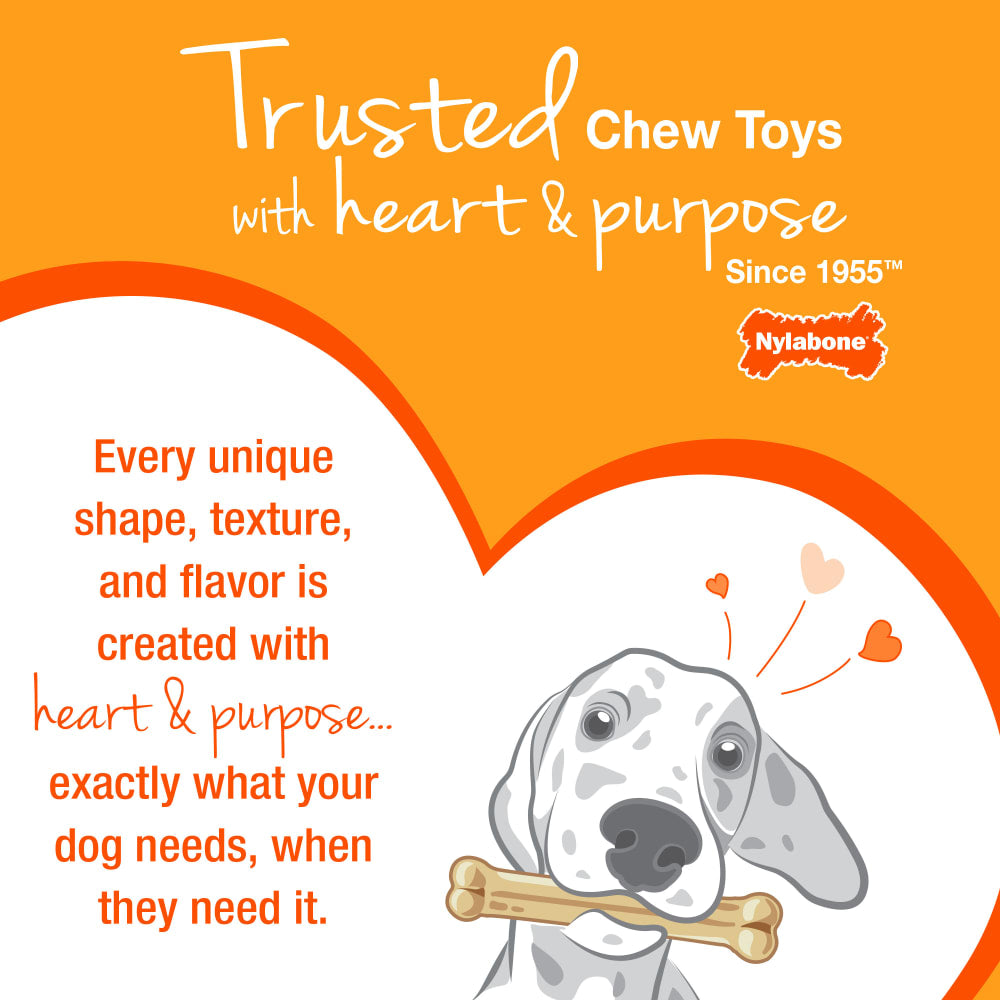 Nylabone Puppy Chew 2-in-1 Teething Freezer Bone Cloth Chew Toy Peanut Butter Flavor