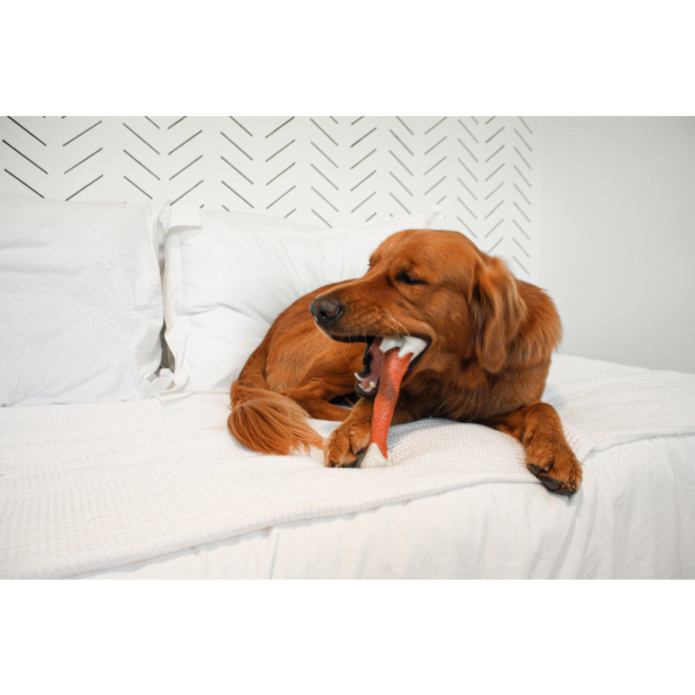 Nylabone Power Chew Femur Bone Alternative Chew Toy For Up To 16kg Dogs 13.03cm x 4.14cm x 2.87cm