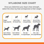 Nylabone Power Chew Femur Bone Alternative Chew Toy For Up To 16kg Dogs 13.03cm x 4.14cm x 2.87cm