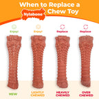 Nylabone Power Chew Dental Dinosaur Chicken Flvaor Chew Toy Up To 23kg Dogs 14.6cm x 3.82cm x 3.81cm