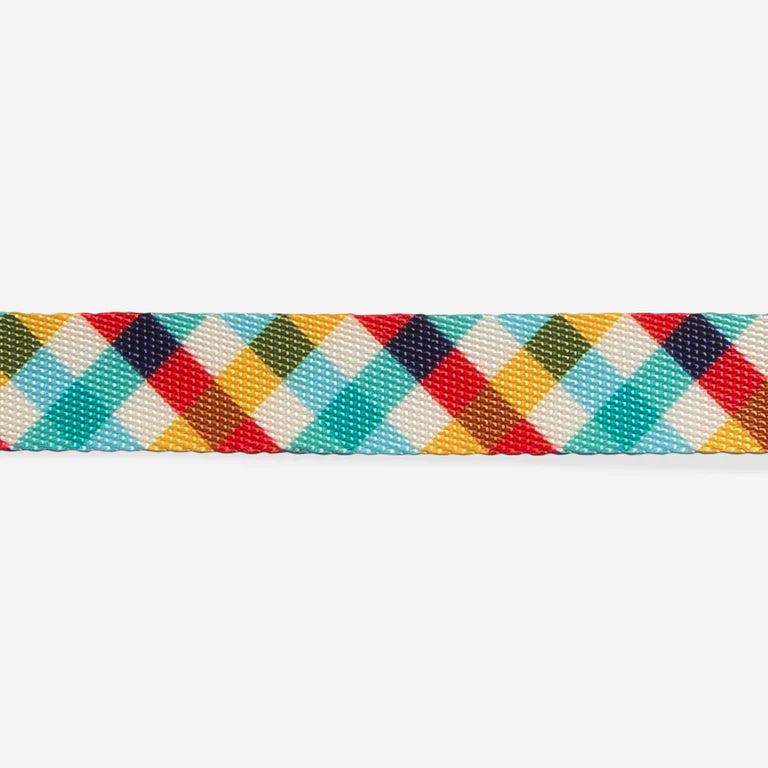 Zee dog Phantom Cat Collar