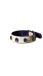 Pawdrip Kukur Tihar Series 01 Yudharma Collar with Harness For Dog Small