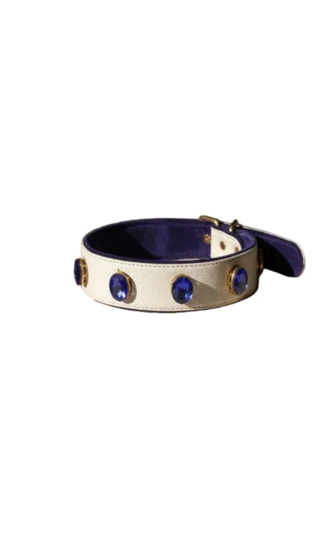 Pawdrip Kukur Tihar Series 01 Yudharma Collar with Harness For Dog Small