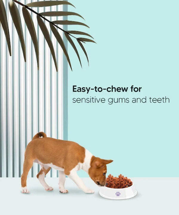 Vivaldis Bark Out Loud Soft Chew Coatiez Treat For Dogs 100g