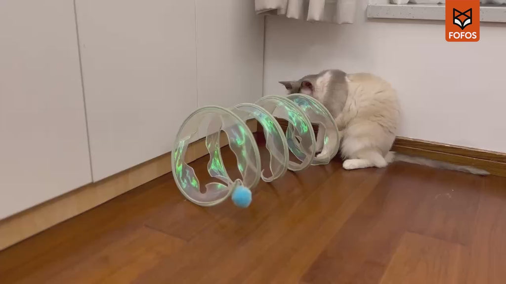 FOFOS Safari Spiral Cat Tunnel Large 55 X 30 X 30 cm