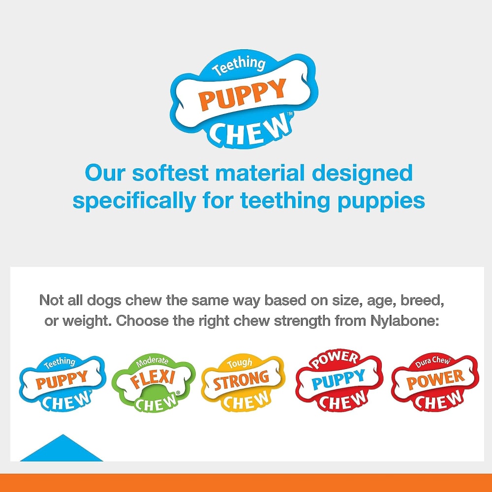 Nylabone Puppy Chew Natural Rubber Vanilla Flavor Textured Teether Chew Toy Small 11kg